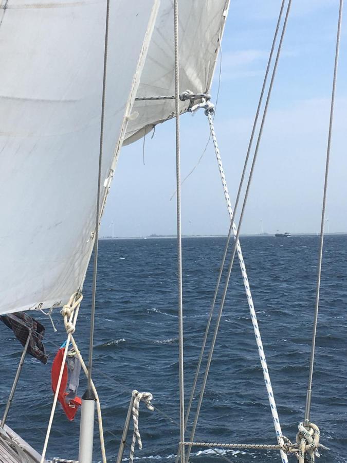 Stay Only Or Sailaway With Friends And Family Have More Fun Medemblik Exterior foto